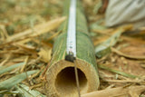 BAMBUS CYKEL - "MY BAMBOO WHEELS" - Din Bedste Bambus Cykel Nogensinde